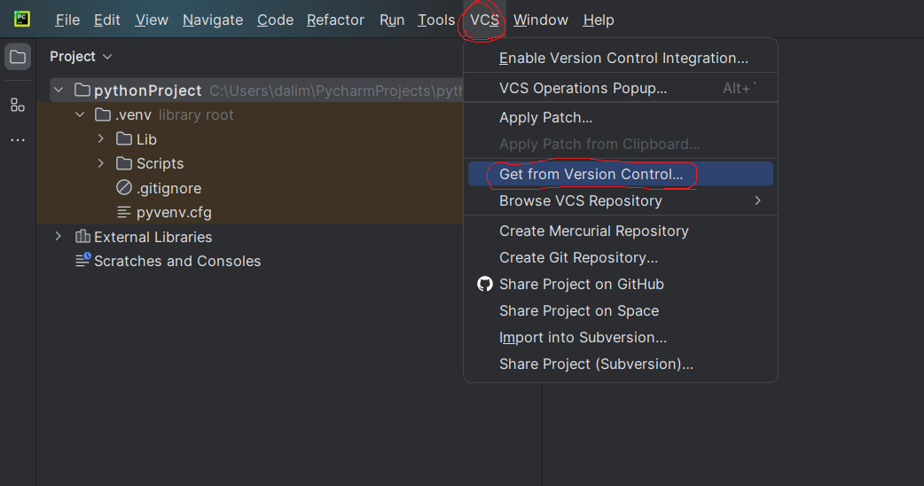 Get from Version Control 클릭